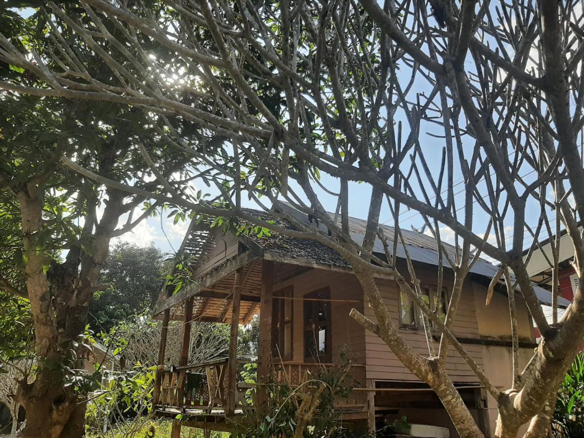Pai River Jam Hostel & Campground Εξωτερικό φωτογραφία