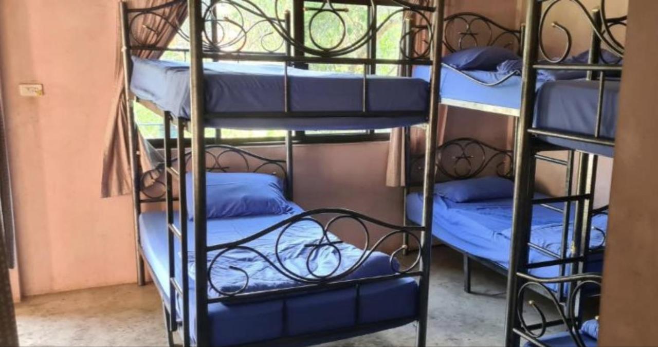 Pai River Jam Hostel & Campground Εξωτερικό φωτογραφία