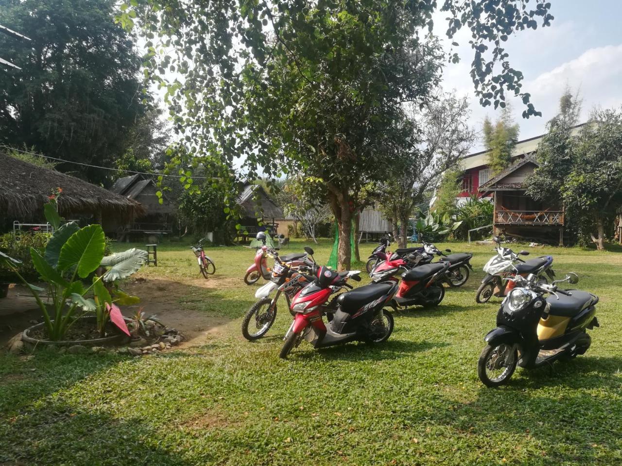 Pai River Jam Hostel & Campground Εξωτερικό φωτογραφία